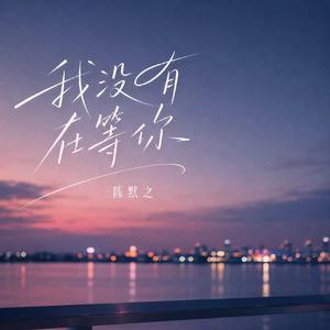 我没有在等你