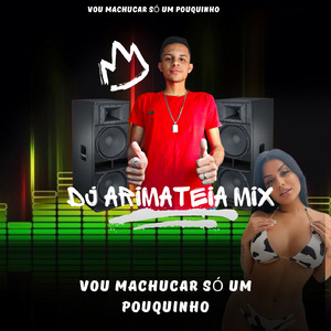 Vou Machucar Só um Pouquinho (Remix)