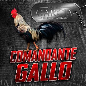 Comandante Gallo