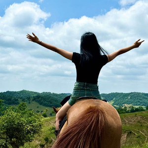 你是匹浪荡不羁的野马-陈世伟