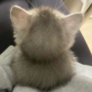 心格（Prod by Keerad）