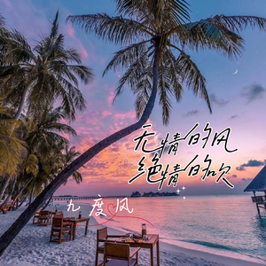 无情的风绝情的吹