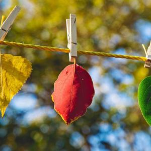 季节就像歌曲一样单曲循环