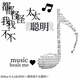 都怪我不太聪明