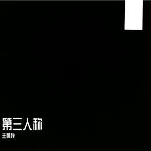 第三人称（女声版（Cover Hush!）