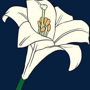 射手错（pord byLil Nickle）