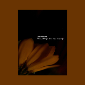 The Last Night (One Hour Version)