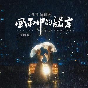 风雨中的诺言 (DJBanan卡拉OK版)
