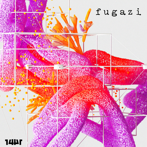 Fugazi