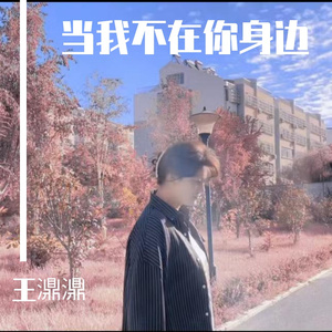 当我不在你身边