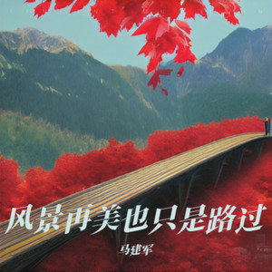 风景再美也只是路过