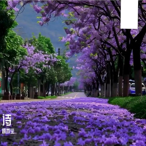 蝶恋花.春景