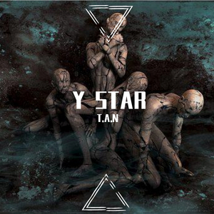 Y STAR