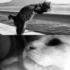 水星记（翻自 雾岛）