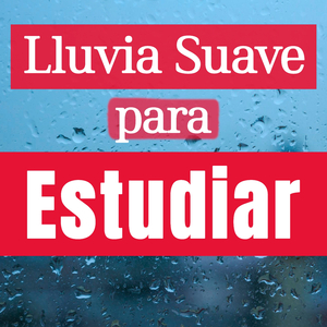 Cancelar Ruido Externo Y Concentrarse