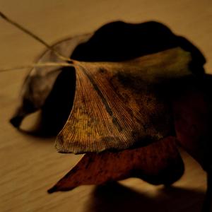 指纹（少年感）