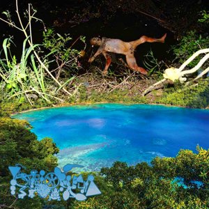 Frog Fight (Psychotic Tradition)