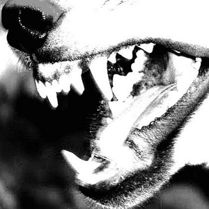 cCOLD S. prod. akkiru1 r3versme