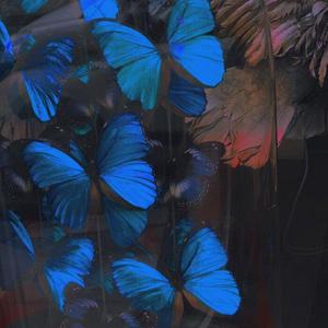 天上的星（Prod.金桔）