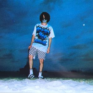 Black Swimsuit (feat. Farf Monkey)