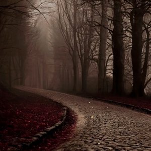 The Cellist's Confession