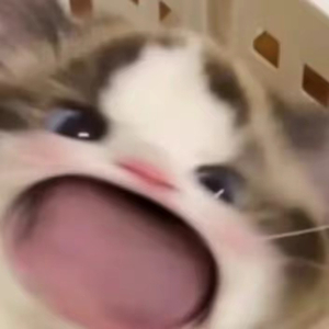 苦笑-饭桶（原唱：汪苏泷）