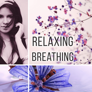 Pre-Study Meditation