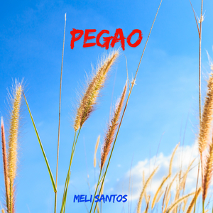 PEGAO