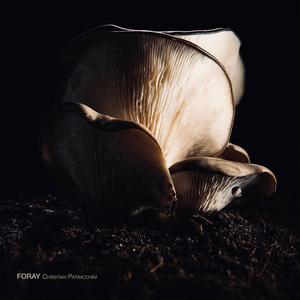 Foray