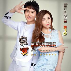 寂寞是你为我写的歌