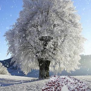 月亮之矢（7NpcTt remix）