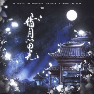 借月流光