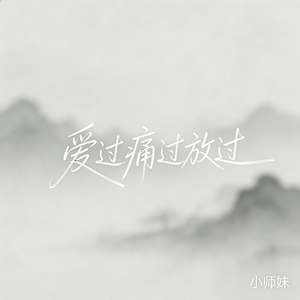 爱过痛过放过（抖音飙升版）