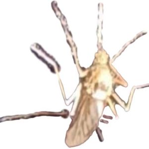 音频转码_爱给网_aigei_com