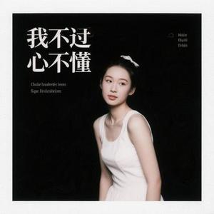 从前我不懂 (风无念 Remix)