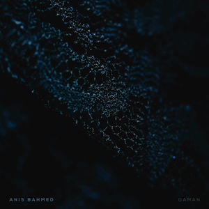 Gaman (Orchestra Version)