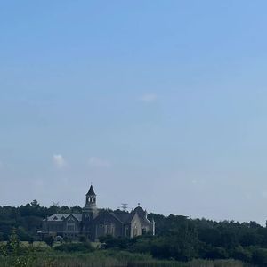 爱使我面目全非