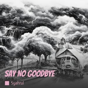 Say No Goodbye