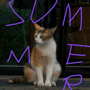 SUMMER!