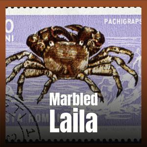 Backslash Roundrobin