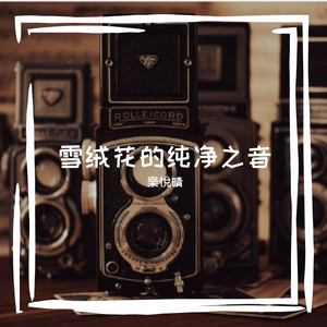薄荷气泡