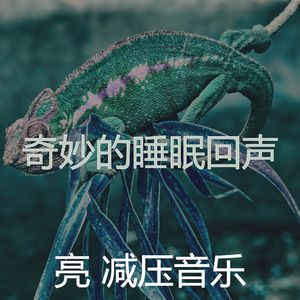 抚慰的冷静的回忆