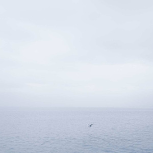 Memory(入殓师插曲单簧管版本)