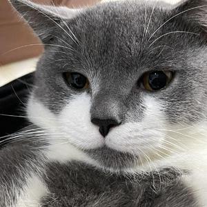 愿有人陪你颠沛流离