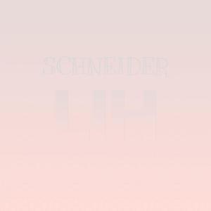 Schneider Lih