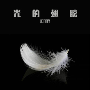 光的翅膀