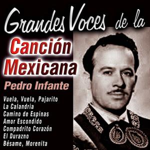 ¡Qué Manera de Perder!