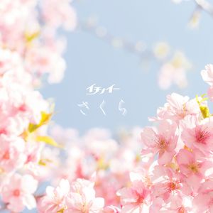 さくら (Acoustic Version)