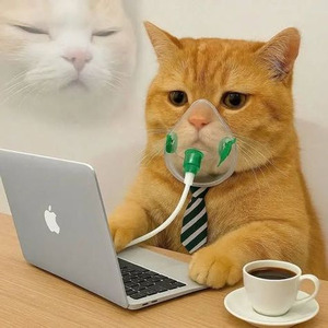 break my heart my self