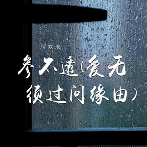 参不透 (爱无须过问缘由)